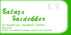 balazs haidekker business card